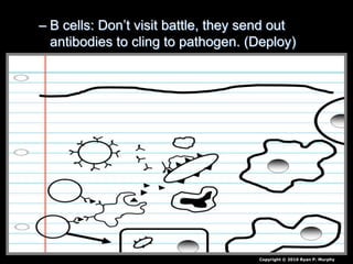 – B cells: Don’t visit battle, they send out
antibodies to cling to pathogen. (Deploy)
Copyright © 2010 Ryan P. Murphy
 