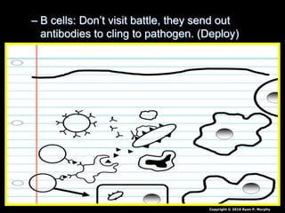 – B cells: Don’t visit battle, they send out
antibodies to cling to pathogen. (Deploy)
Copyright © 2010 Ryan P. Murphy
 