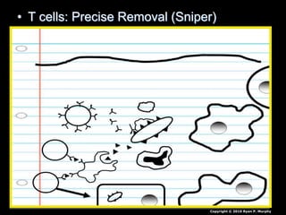• T cells: Precise Removal (Sniper)
Copyright © 2010 Ryan P. Murphy
 