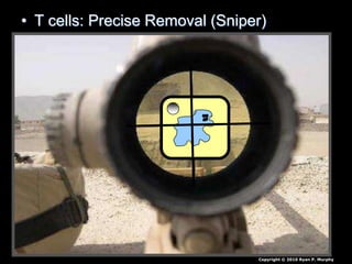 • T cells: Precise Removal (Sniper)
Copyright © 2010 Ryan P. Murphy
 