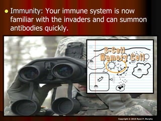  Immunity: Your immune system is now
familiar with the invaders and can summon
antibodies quickly.
Copyright © 2010 Ryan P. Murphy
 