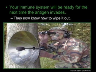 • Your immune system will be ready for the
next time the antigen invades.
– They now know how to wipe it out.
Copyright © 2010 Ryan P. Murphy
 