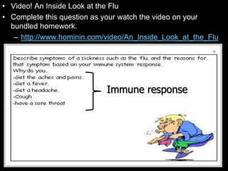 • Video! An Inside Look at the Flu
• Complete this question as your watch the video on your
bundled homework.
– http://www.hominin.com/video/An_Inside_Look_at_the_Flu
Immune response
 