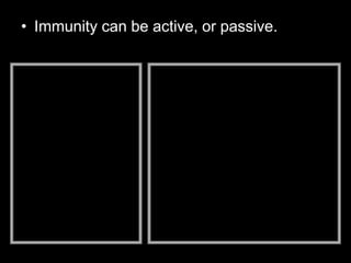 • Immunity can be active, or passive.
 