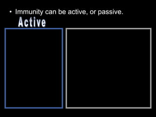 • Immunity can be active, or passive.
 