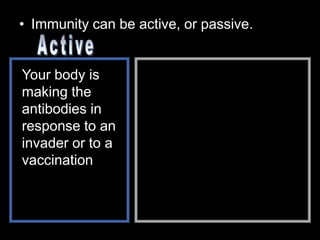 • Immunity can be active, or passive.
Your body is
making the
antibodies in
response to an
invader or to a
vaccination
 