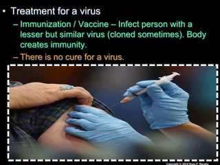 • Treatment for a virus
– Immunization / Vaccine – Infect person with a
lesser but similar virus (cloned sometimes). Body
creates immunity.
– There is no cure for a virus.
Copyright © 2010 Ryan P. Murphy
 