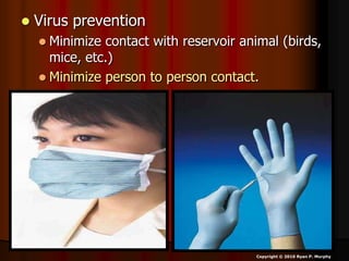  Virus prevention
 Minimize contact with reservoir animal (birds,
mice, etc.)
 Minimize person to person contact.
Copyright © 2010 Ryan P. Murphy
 