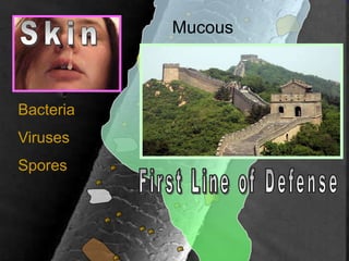 Dust
Pollen
Particulates
Bacteria
Viruses
Spores
Mucous
 