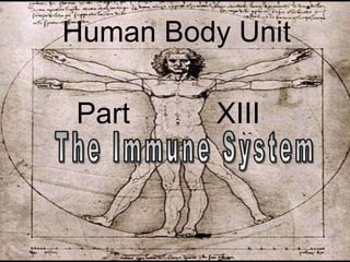 Human Body Unit
Part XIII
 
