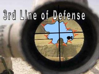 Immune System Lesson PowerPoint