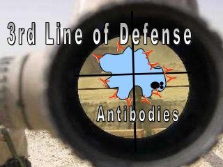 Immune System Lesson PowerPoint