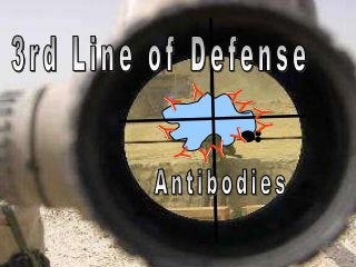 Immune System Lesson PowerPoint