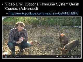 Immune System Lesson PowerPoint