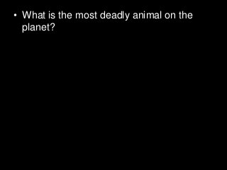 Immune System Lesson PowerPoint