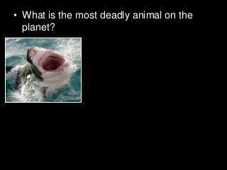 Immune System Lesson PowerPoint