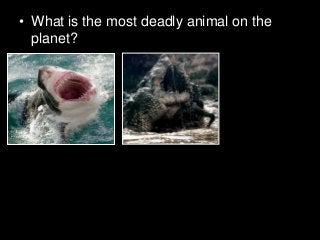 Immune System Lesson PowerPoint