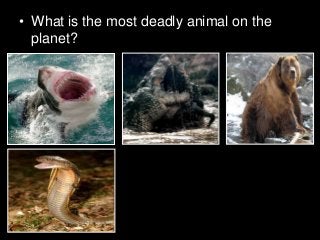 Immune System Lesson PowerPoint