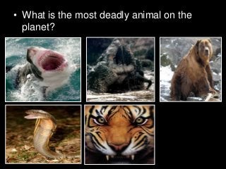 Immune System Lesson PowerPoint