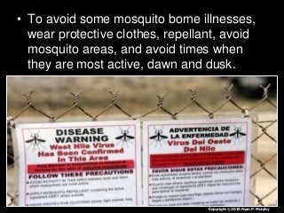 Immune System Lesson PowerPoint