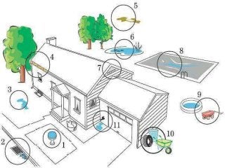 Immune System Lesson PowerPoint