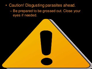 Immune System Lesson PowerPoint