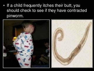 Immune System Lesson PowerPoint