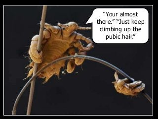 Immune System Lesson PowerPoint