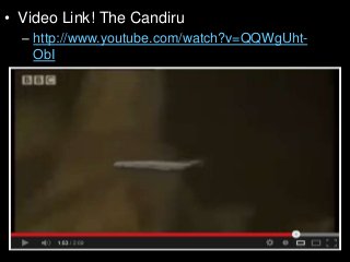 Immune System Lesson PowerPoint