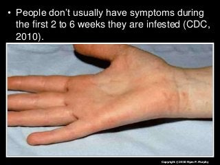 Immune System Lesson PowerPoint