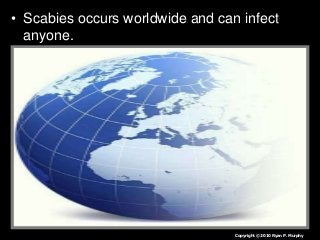 Immune System Lesson PowerPoint