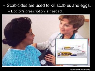 Immune System Lesson PowerPoint