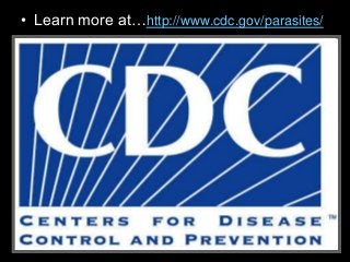 Immune System Lesson PowerPoint