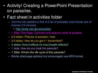 Immune System Lesson PowerPoint