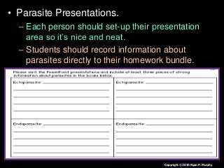 Immune System Lesson PowerPoint