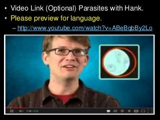 Immune System Lesson PowerPoint