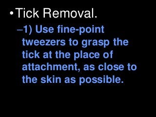 Immune System Lesson PowerPoint