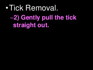 Immune System Lesson PowerPoint