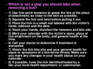 Immune System Lesson PowerPoint