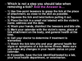 Immune System Lesson PowerPoint