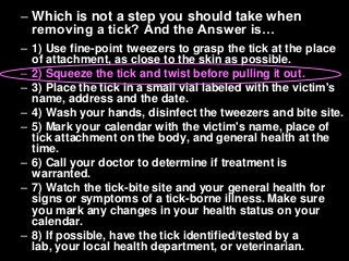 Immune System Lesson PowerPoint