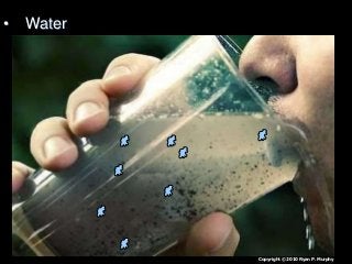 Immune System Lesson PowerPoint