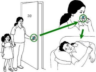 Immune System Lesson PowerPoint