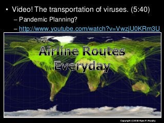 Immune System Lesson PowerPoint