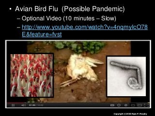 Immune System Lesson PowerPoint