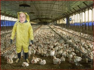 Immune System Lesson PowerPoint