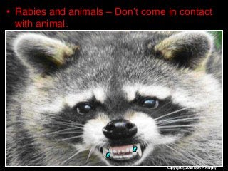 Immune System Lesson PowerPoint