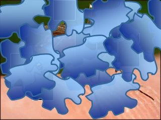 Immune System Lesson PowerPoint