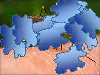 Immune System Lesson PowerPoint