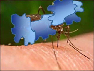 Immune System Lesson PowerPoint